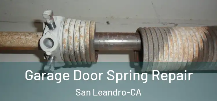  Garage Door Spring Repair San Leandro-CA